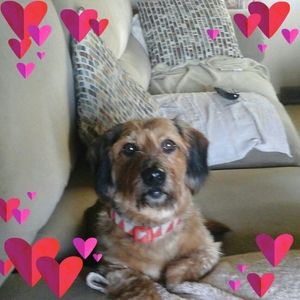 Meet your Posher, Cindy